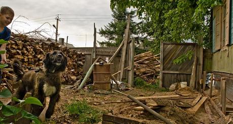 Hometown Zeya, 2008 Ru_zeya_grandma_house_dog_boy