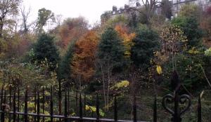 Autumn colours, water of leith, Edinburgh