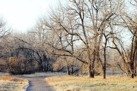 Sunday Walk Sunday Walk