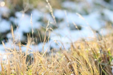 Sunday Walk Sunday Walk