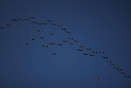 Sunday Walk Sunday Walk