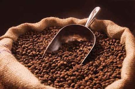 Is Our Favorite Drink – Coffee – Under Threat of Becoming Extinct?