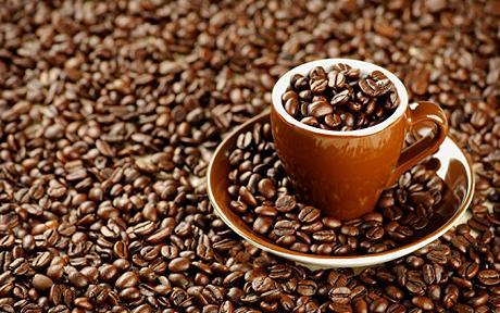 Is Our Favorite Drink – Coffee – Under Threat of Becoming Extinct?