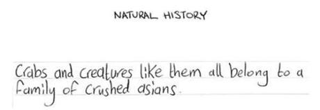 13 Proof that humans really are becoming less intelligent