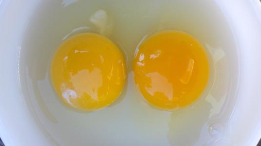 Lesson 650 – Comparing a store bought egg to a free range egg