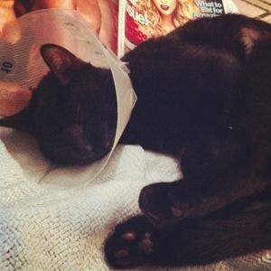 Easy Breezy Beautiful ’40s Half Moon Nails 20121112-170324.jpg