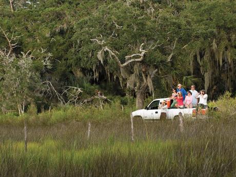 Expedition Med Opportunity To Be Held At Little Saint Simons Islands
