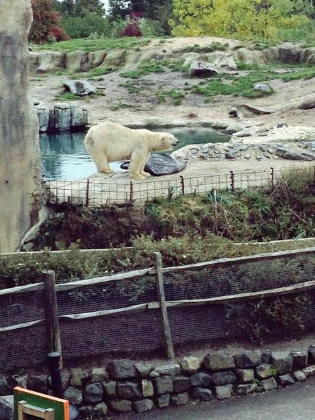 AMSTERDAM. PART 1. AMSTERDAM. PART 1.