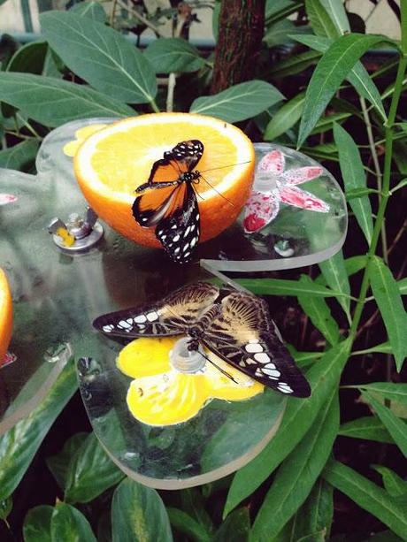 AMSTERDAM. PART 1. AMSTERDAM. PART 1.