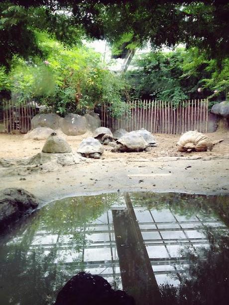 AMSTERDAM. PART 1. AMSTERDAM. PART 1.