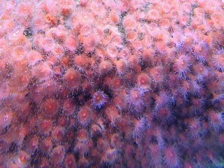 AMSTERDAM. PART 1. AMSTERDAM. PART 1.