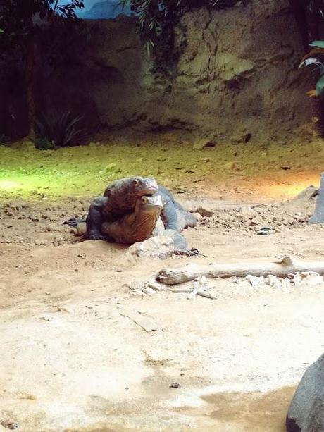 AMSTERDAM. PART 1. AMSTERDAM. PART 1.