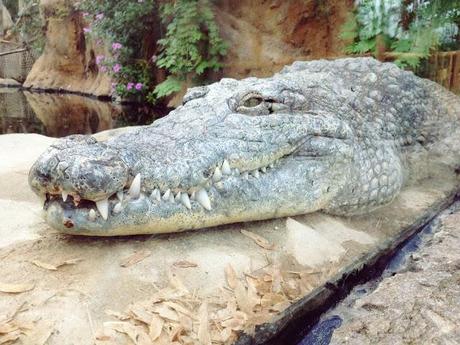 AMSTERDAM. PART 1. AMSTERDAM. PART 1.