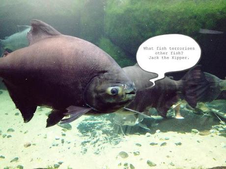 AMSTERDAM. PART 1. AMSTERDAM. PART 1.