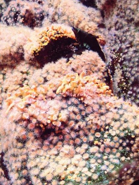 AMSTERDAM. PART 1. AMSTERDAM. PART 1.