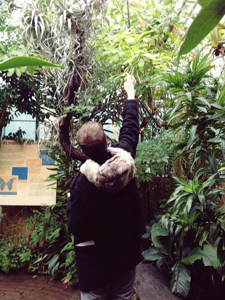 AMSTERDAM. PART 1. AMSTERDAM. PART 1.