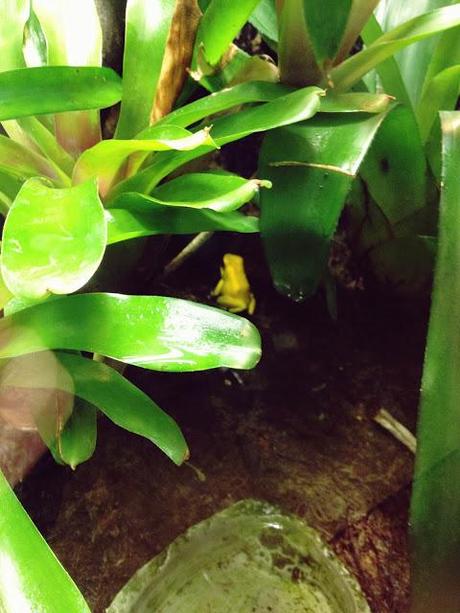 AMSTERDAM. PART 1. AMSTERDAM. PART 1.