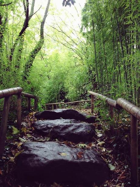 AMSTERDAM. PART 1. AMSTERDAM. PART 1.