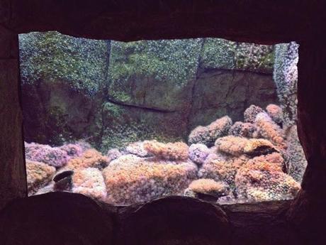 AMSTERDAM. PART 1. AMSTERDAM. PART 1.