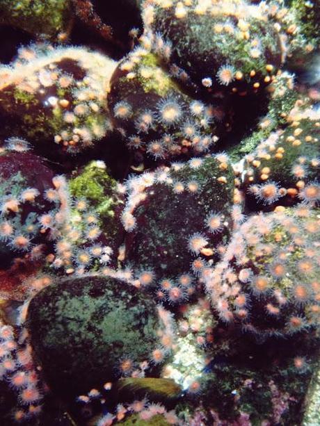 AMSTERDAM. PART 1. AMSTERDAM. PART 1.