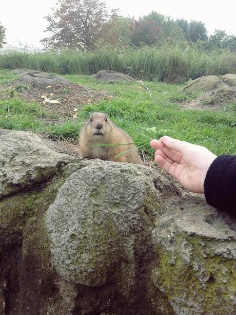 AMSTERDAM. PART 1. AMSTERDAM. PART 1.