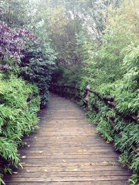 AMSTERDAM. PART 1. AMSTERDAM. PART 1.