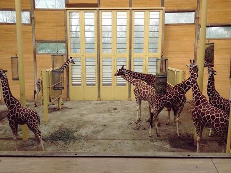 AMSTERDAM. PART 1. AMSTERDAM. PART 1.