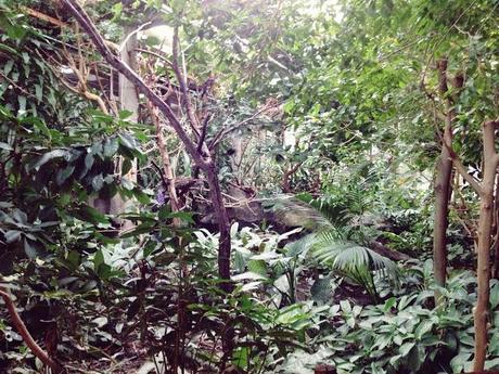 AMSTERDAM. PART 1. AMSTERDAM. PART 1.