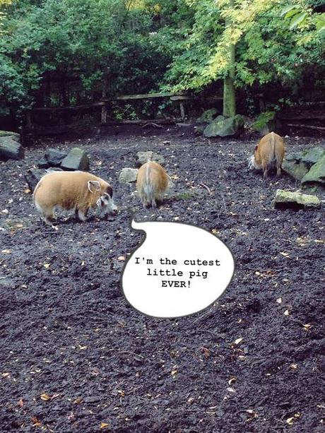 AMSTERDAM. PART 1. AMSTERDAM. PART 1.