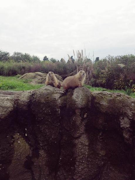 AMSTERDAM. PART 1. AMSTERDAM. PART 1.