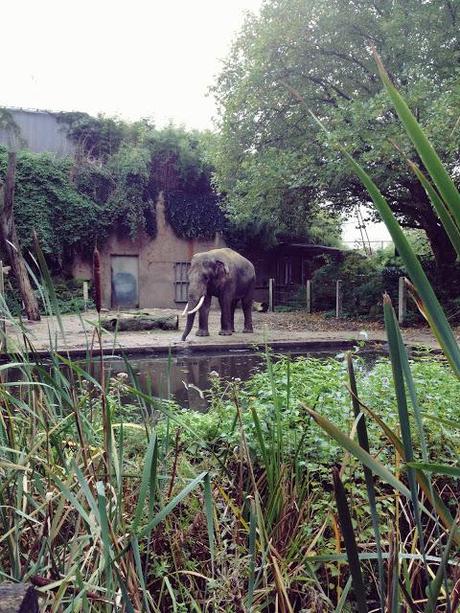 AMSTERDAM. PART 1. AMSTERDAM. PART 1.