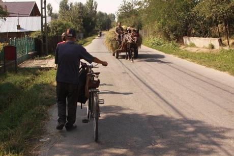 Village Life, Romania