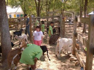 Up next, Fiesta Farm and Petting Zoo!