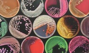 1 Is Europe under a Superbug threat?