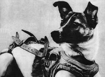 DOGS were the real PIONEERS in SPACE!