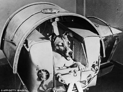 DOGS were the real PIONEERS in SPACE!