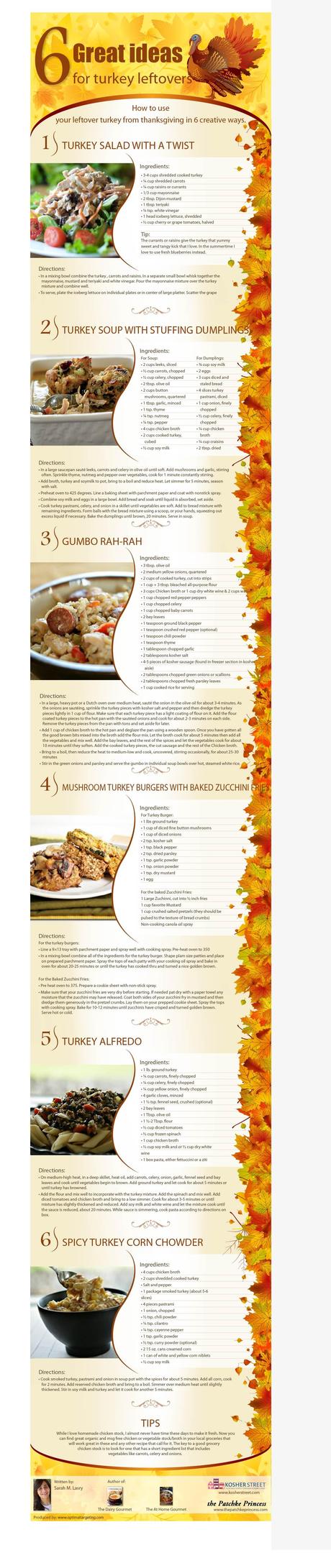 6 Recipes For Leftover Turkey Infographic