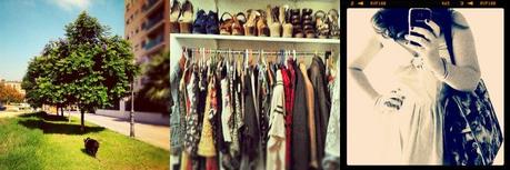Insta-moments Instamoments: TheMowWay