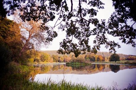 Walcot Hall wedding by Emma B Photography (29) DIY wedding UK Walcot Hall (29)