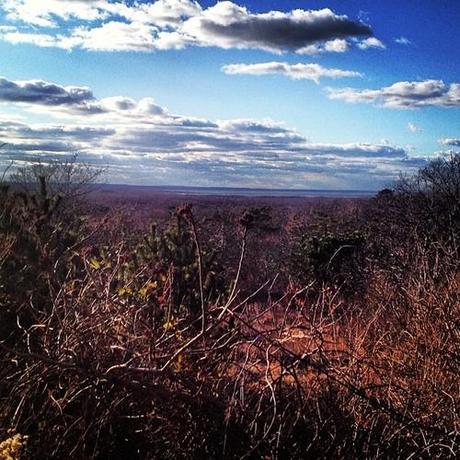 Gorgeous Winter Montauk. (at Hither Hills West Outlook) Gorgeous Winter Montauk. (at Hither Hills West Outlook)