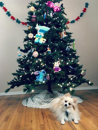 8218830613_c28952f59e Decking the Halls and All That Jazz