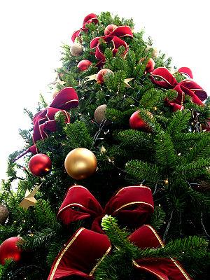 Christmas tree Christmas tree