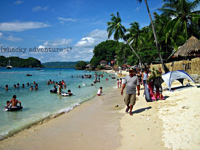 Guimaras: the good, the bad and the ugly side of Alubihod Guimaras: the good, the bad and the ugly side of Alubihod
