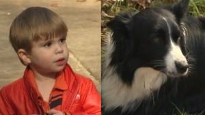 Family Dog Finds Missing Toddler