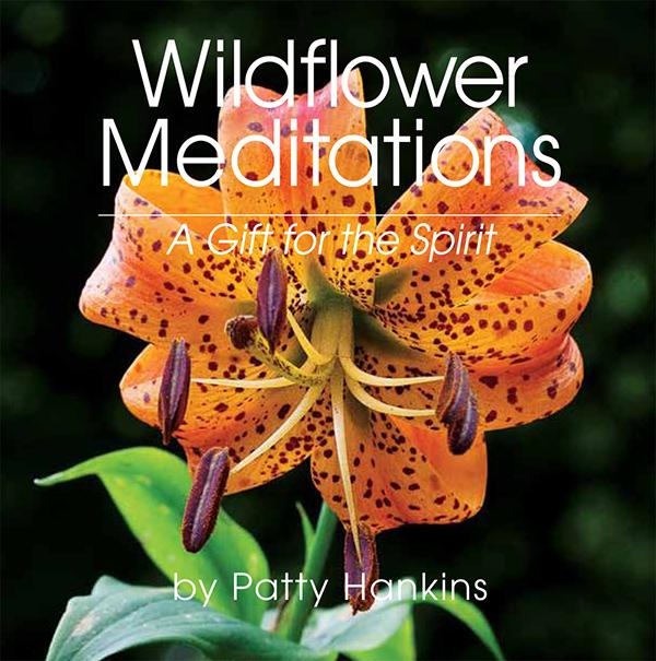 Wildflower Meditations