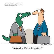 Legal Series- Things to think about with your Lawyer