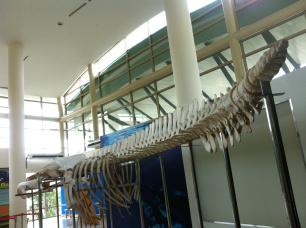 Natural History Museum, Putrajaya, Malaysia