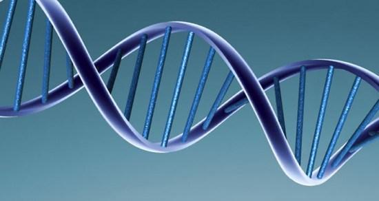 DNA Double Helix Structure