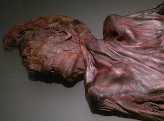 Irish Bog Bodies Irish Bog Bodies