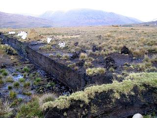 Irish Bog Bodies Irish Bog Bodies